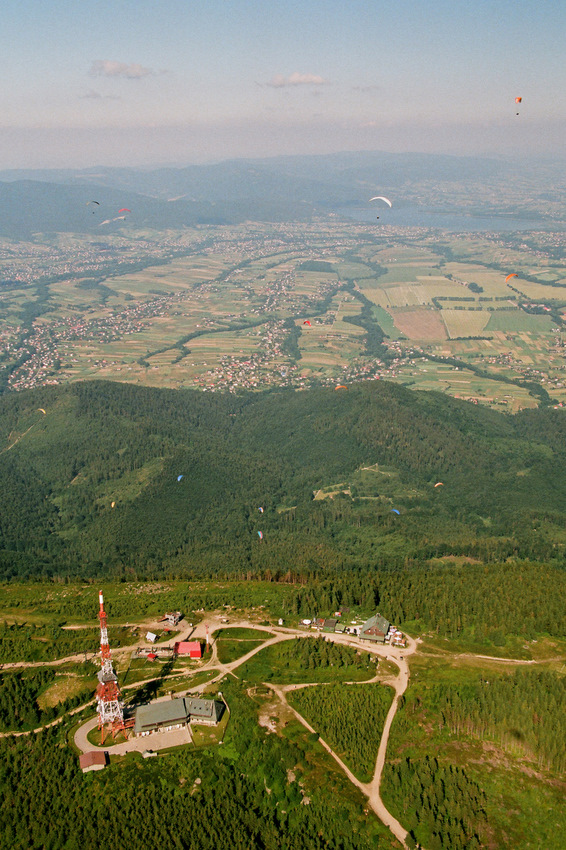 Barwienie termiki