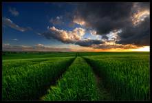 The Path...