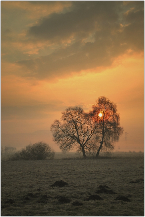 budzenie dnia...