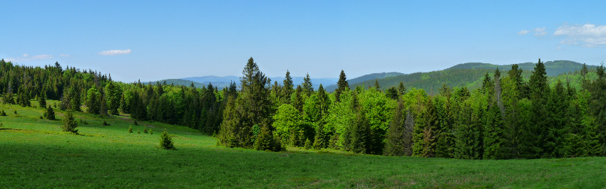 Beskidy 2010.06.05  1