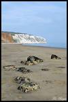 Wight cliff
