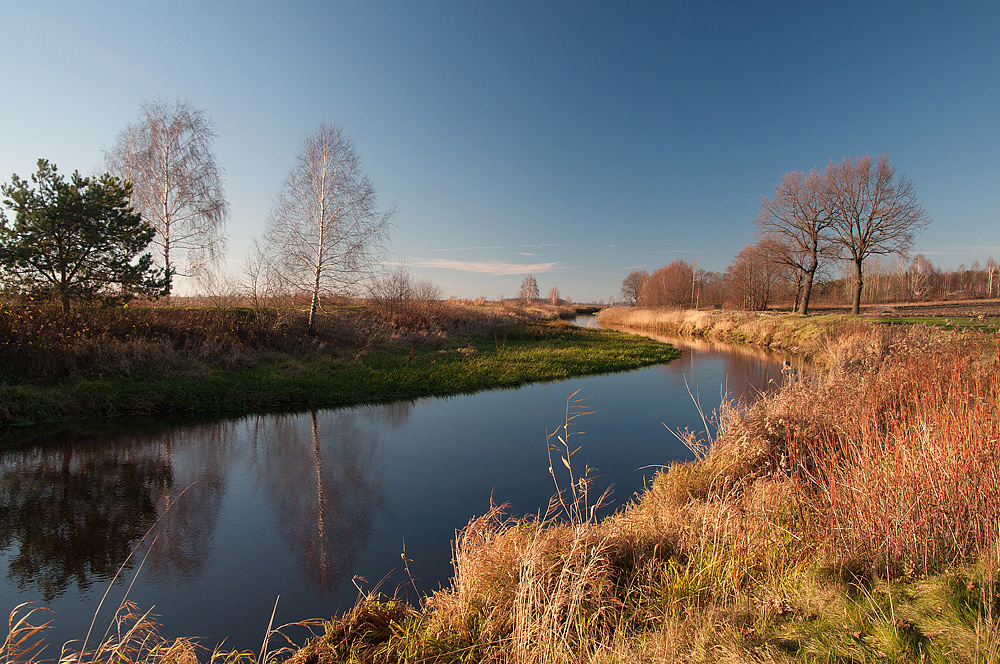 rzeka Tyśmienica
