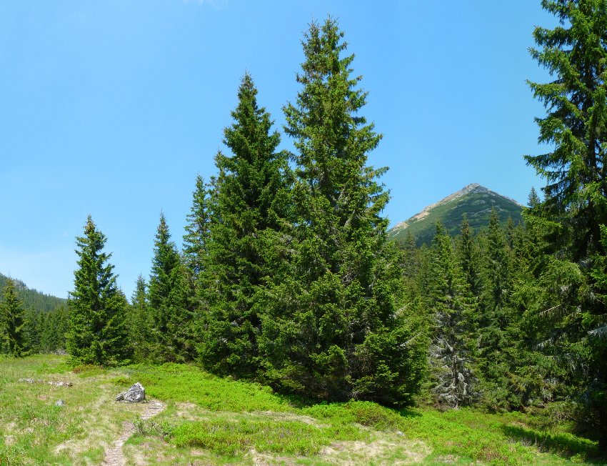 Tatry 2010.06.10  1