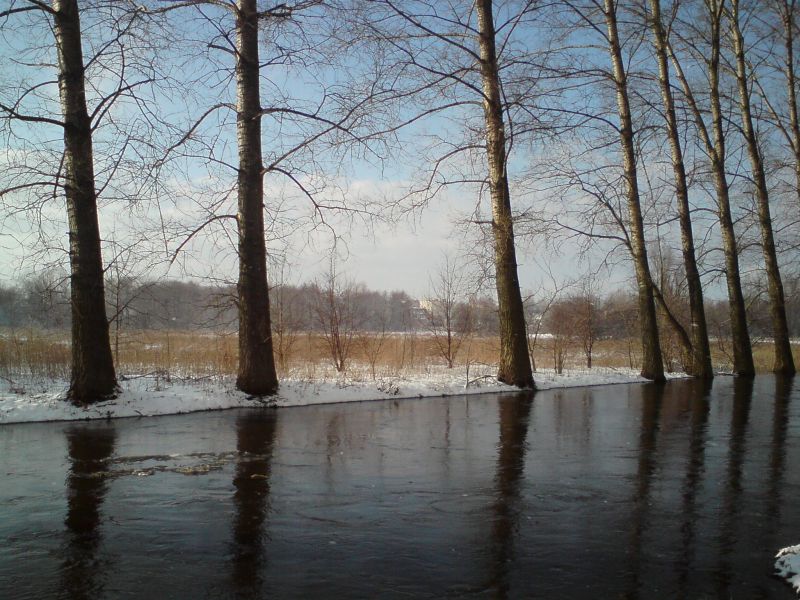 Zima