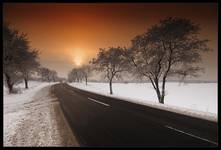 Frozen Alley...