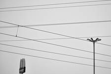 nets & chains