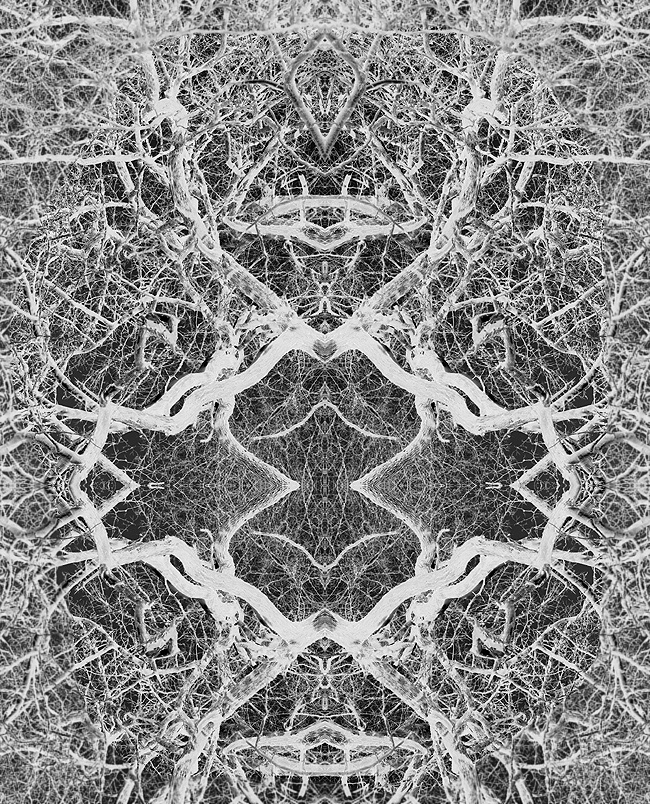 little crystal inside..