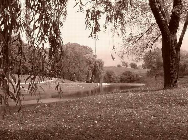 Park Moczydło