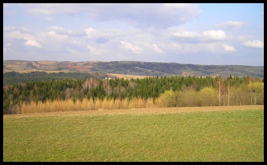 Wiosna