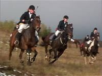 Hubertus 2003/cz.II