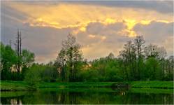 land ryna