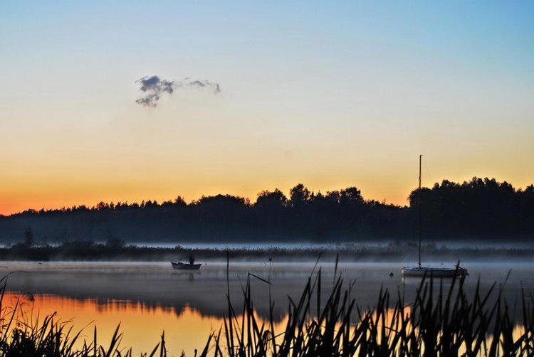 TychY