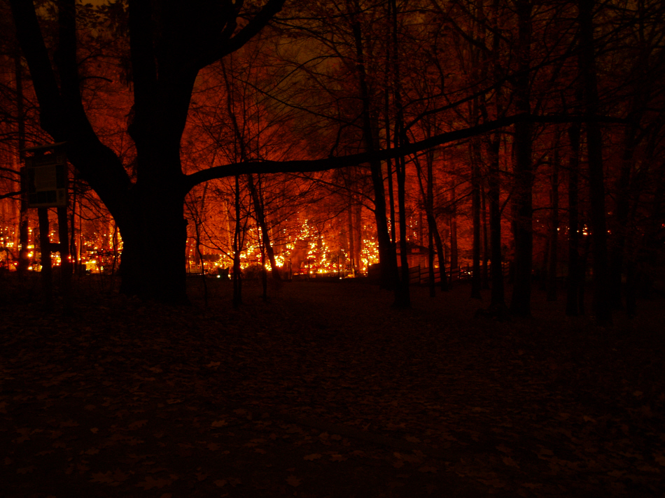 nocą