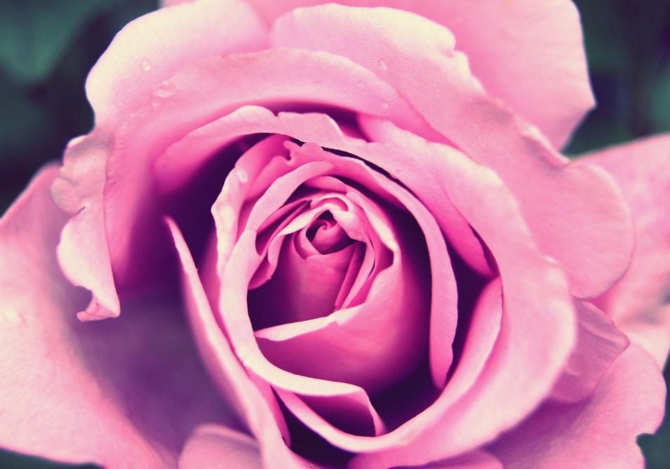 For the only one...