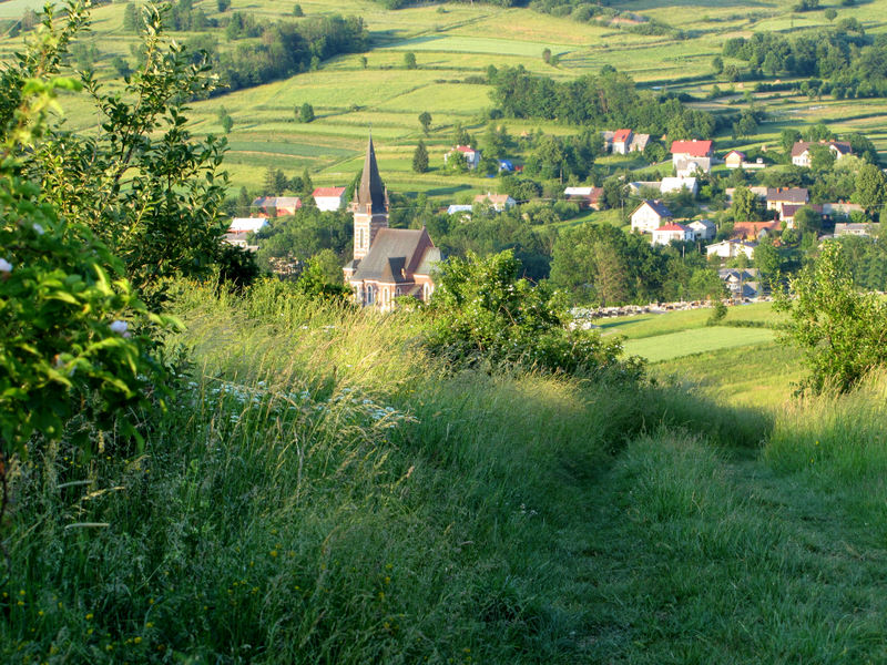 Lubatowa, w czerwcu