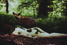 it is the fox who cares about girl`s soul. she died in the woods and now her flesh is overgrown by moss.