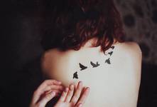night birds