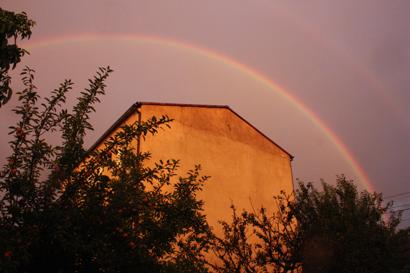 Tęcza