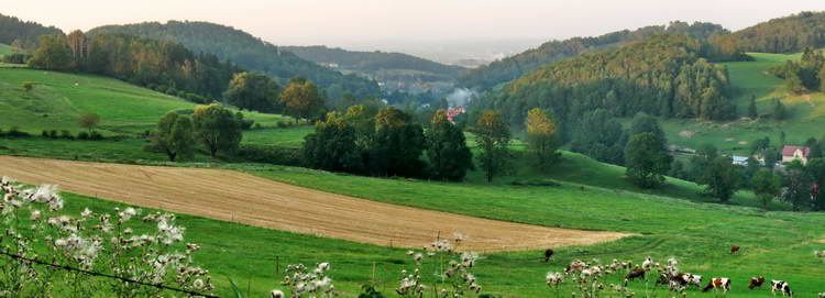 Tuł
