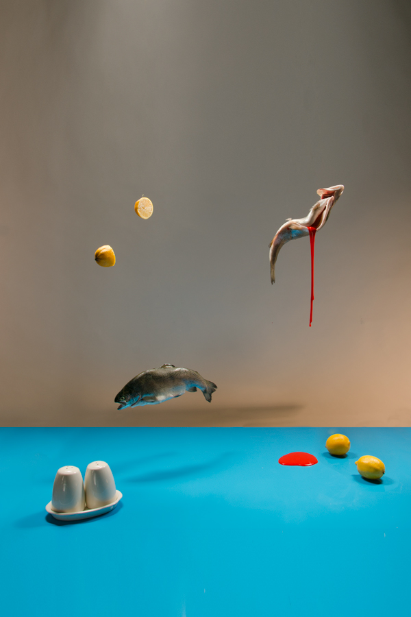 still life