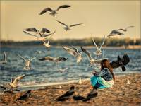 The birds