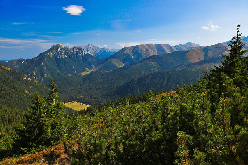 teneviten