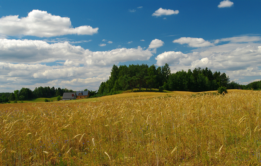 Na Kaszubach I