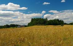 Na Kaszubach I