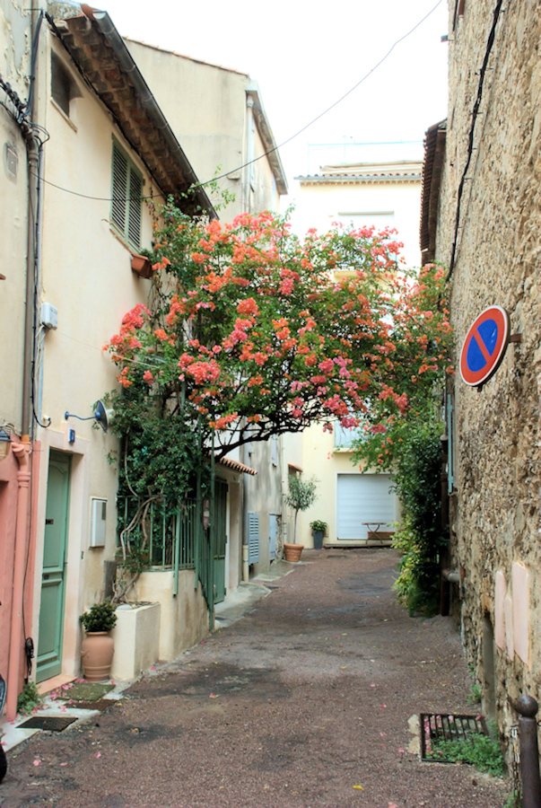 Saint Tropez