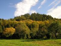 jesień