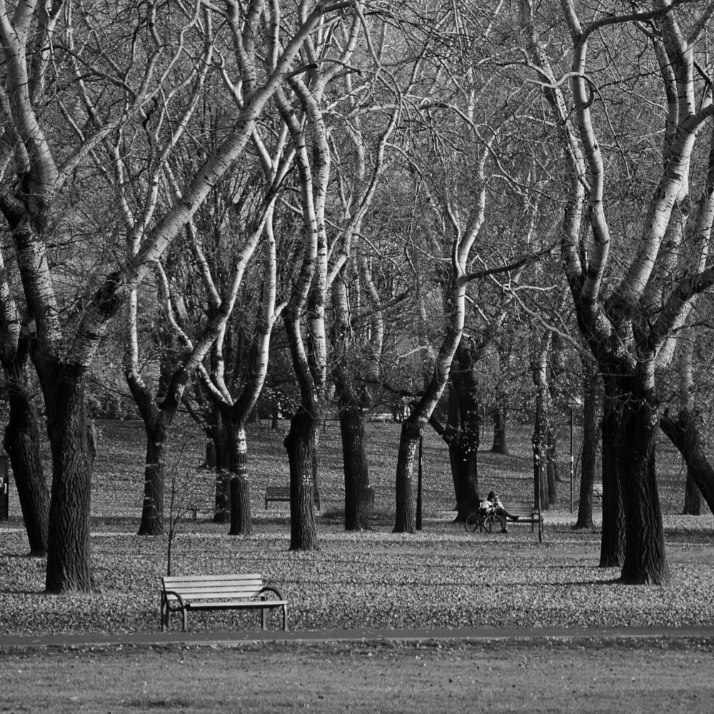 park