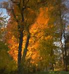 Burning...