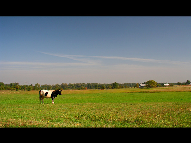 Podlasie #2