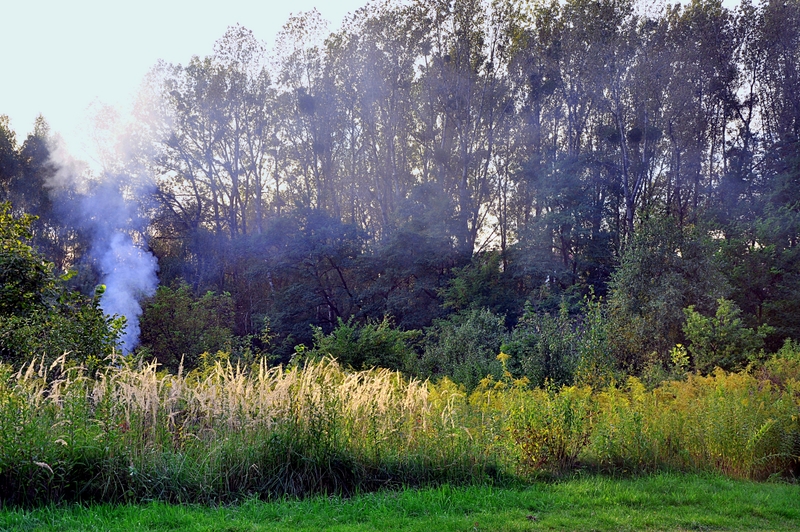 Jesień