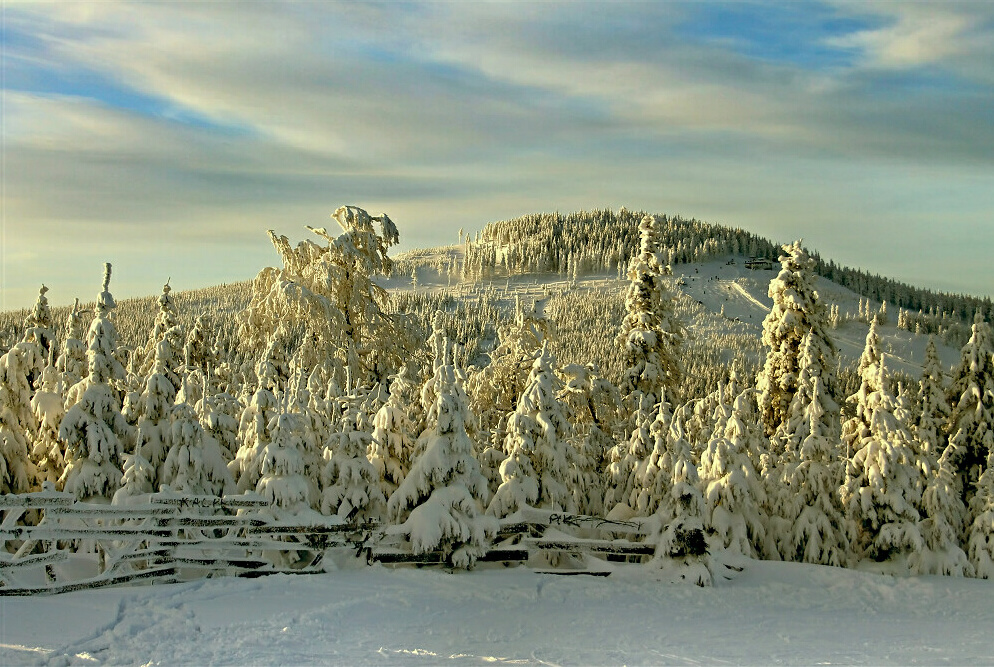 Cz. Góra