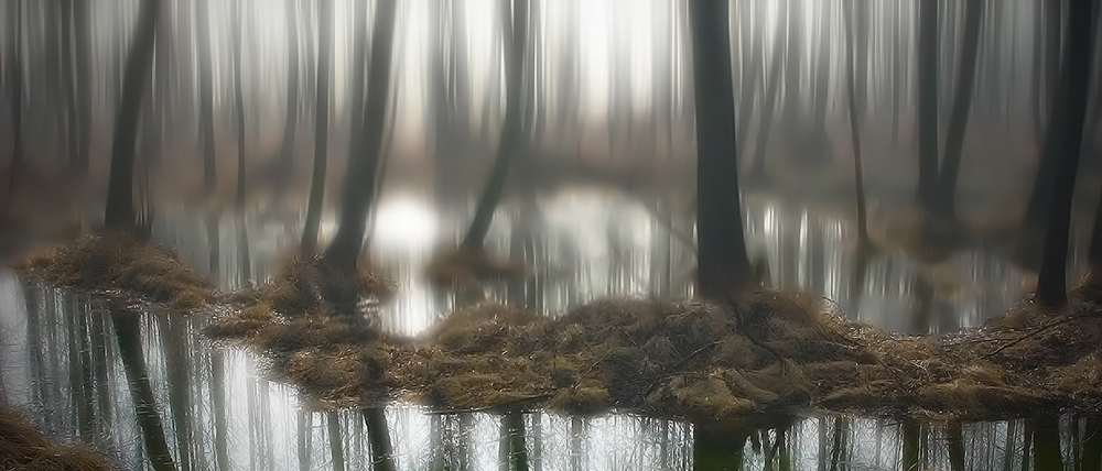 Trees...