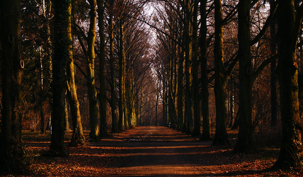 park