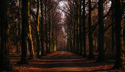 park