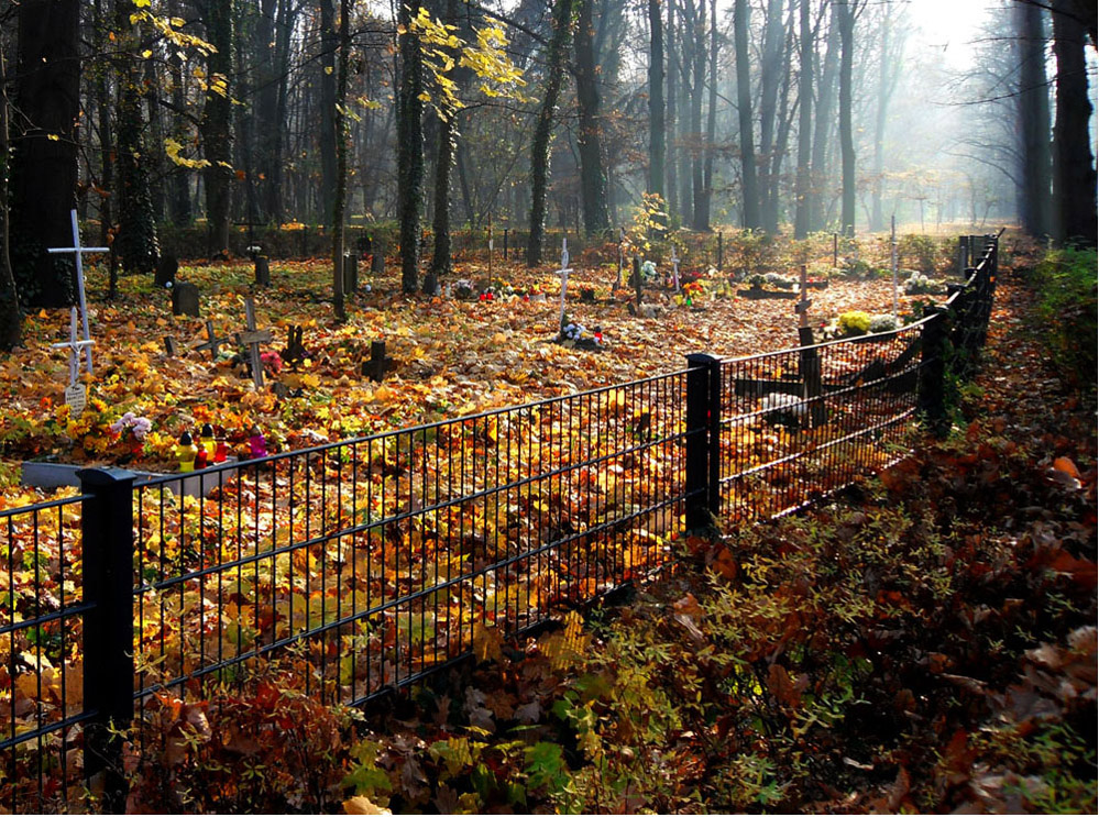 Park Grabiszyński