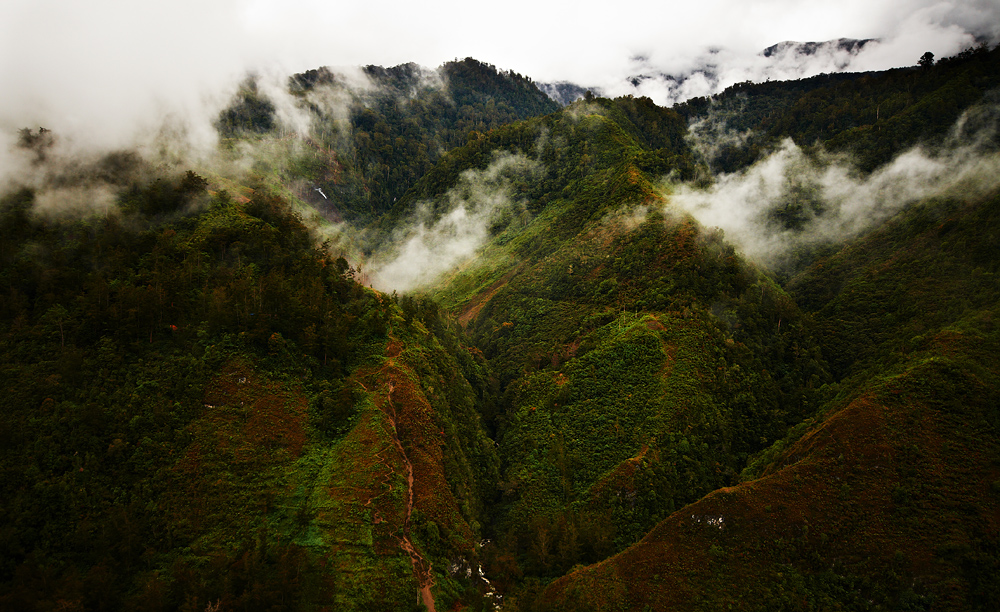 Papua