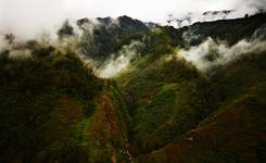 Papua