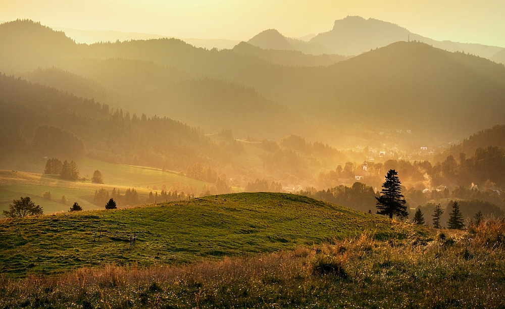miodowe Pieniny ...