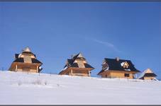 bracia