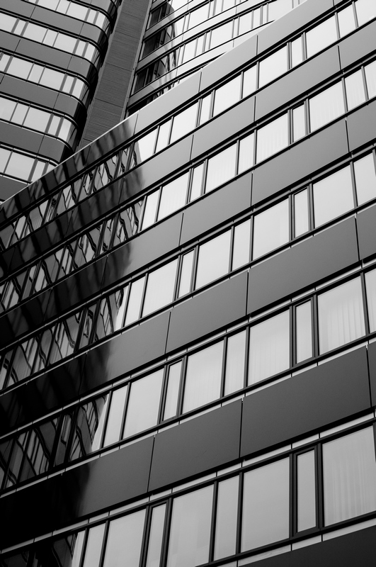 Zebra Tower 2