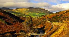 Dingle