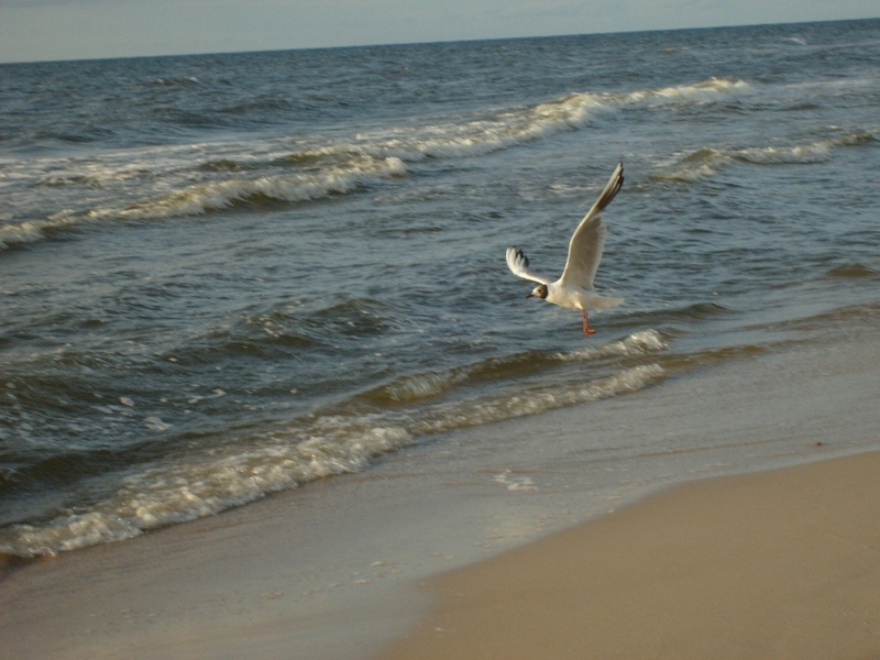 Plaża