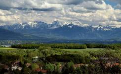 Alpy