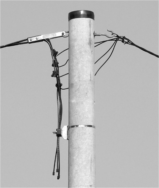 Elektryzujący warkocz