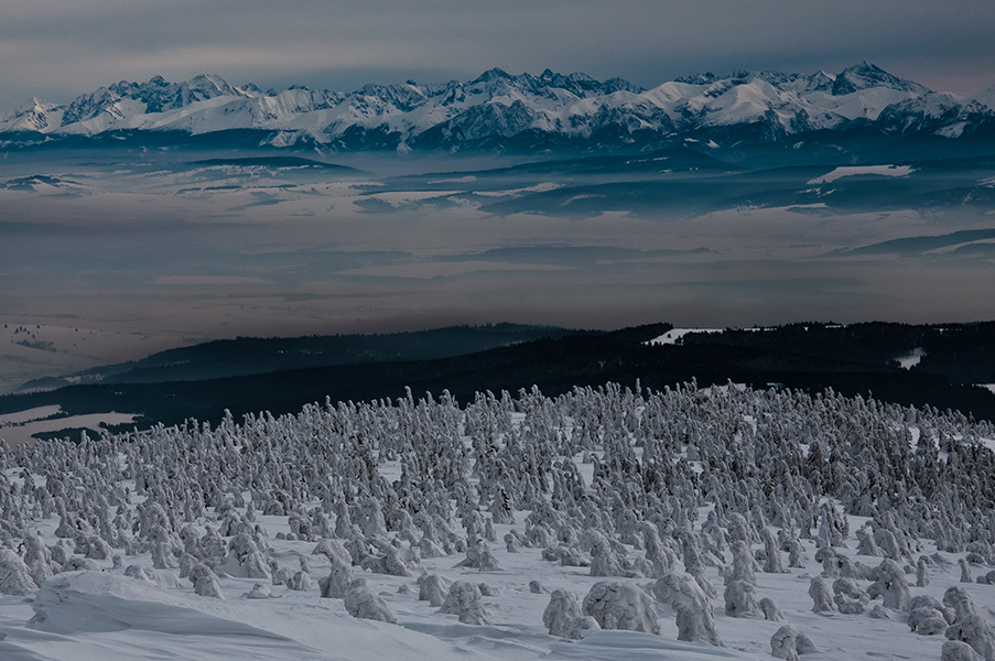 Tatry