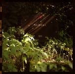scan-120713-0005